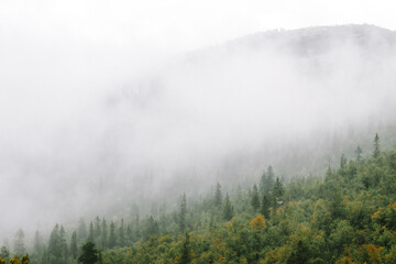 moody landscape in Norway