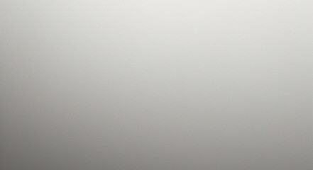 Image vectorielle de fond d'écran dégradé lisse blanc et gris pour toile de fond ou présentation	