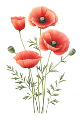 Obraz premium Four Poppy Flowers with Stems and Leaves.