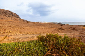 desert landscape in state