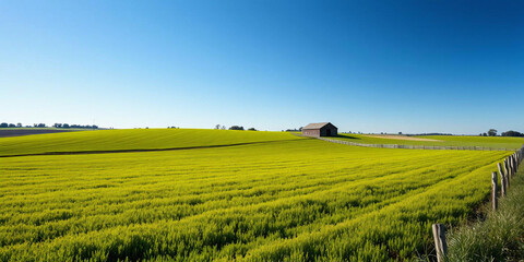 A serene green field stretches out, with a rustic barn visible in the distance under a clear blue sky. generative AI