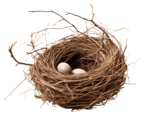PNG  Bird nest with two eggs