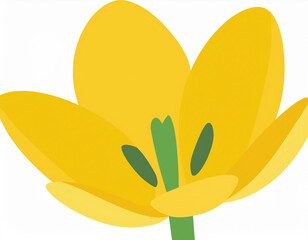 Closeup of Yellow Tulip Flower