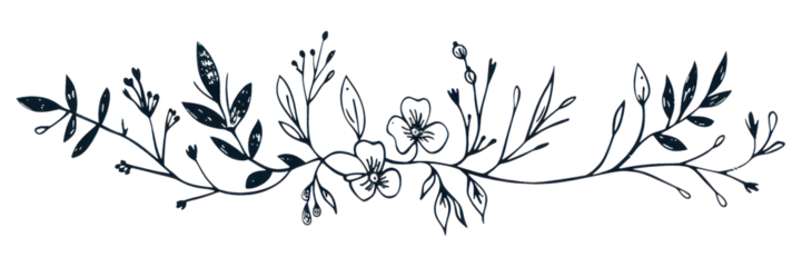 PNG Elegant floral line art illustration