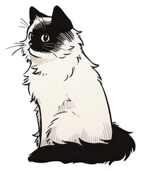 Obraz premium PNG Balinese Cat cat illustrated drawing.