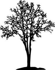 Tree Silhouette