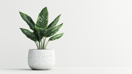 Obraz premium 3d illustration of houseplant in terrazzo potted on white background stock photo