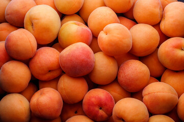 Ripe apricots top view market wallpaper