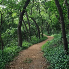 Fototapeta premium Forest paths lined with dense flora reducing noise and creating serene walking experiences, flora ecosystems noise, quiet trails