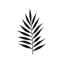 Palm summer tropical leaf silhouette icon. Jungle plant black tree foliage isolated palm exotic leaf.