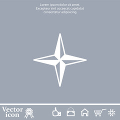 Obraz premium Vector icon of white color on a gray background