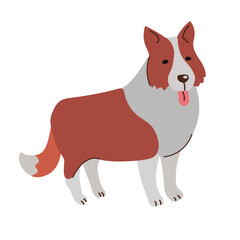 Border collie icon clipart avatar logtotype isolated vector illustration
