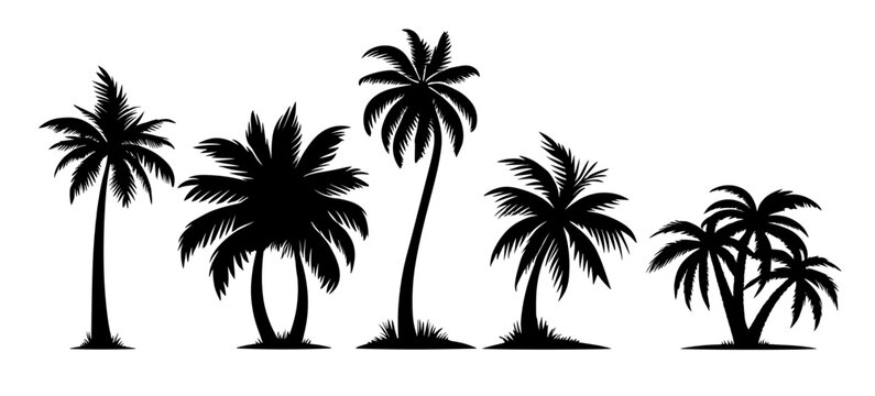 palm-tree-stencil-images-browse-4-442-stock-photos-vectors-and-video-adobe-stock