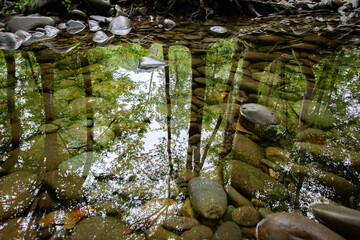 As Above, So Below
