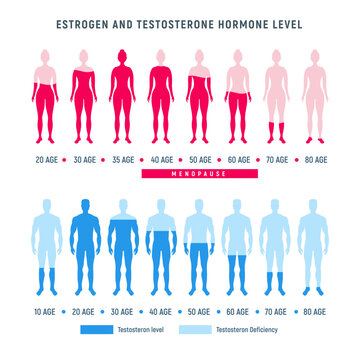 Estrogen and testosterone hormone levels by age. Diagram showing estrogen and testosterone levels across different ages for men and women.