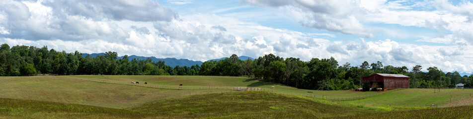 Panoramic banner of a Tennessee cattle farm