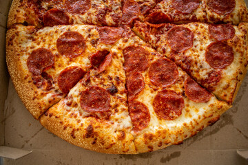 Delicious Pepperoni Pizza with Cheese – Classic Italian-American Cuisine