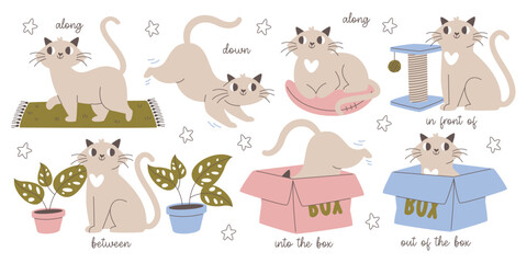 Cute cats preposition of direction with different objects examples set for education and games