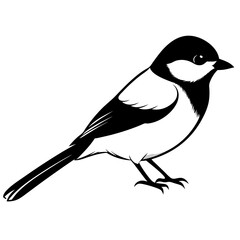 Capped chickadee isolated on white, capped chickadee vector illustration, bird vector art, capped chickadee silhouette, penguin with cream vector icon, animales line art, eps
