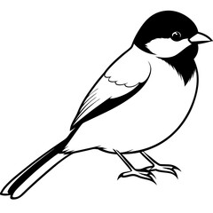 Capped chickadee isolated on white, capped chickadee vector illustration, bird vector art, capped chickadee silhouette, penguin with cream vector icon, animales line art, eps