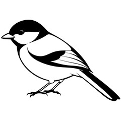 Capped chickadee isolated on white, capped chickadee vector illustration, bird vector art, capped chickadee silhouette, penguin with cream vector icon, animales line art, eps