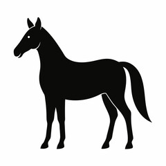 Horse isolated on white, horse vector illustration, animal vector art, horse silhouette, pet vector icon, horses cartoon line art, eps