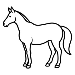 Horse isolated on white, horse vector illustration, animal vector art, horse silhouette, pet vector icon, horses cartoon line art, eps