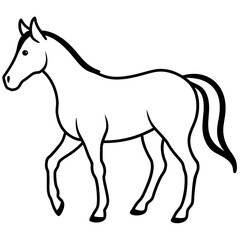 Horse isolated on white, horse vector illustration, animal vector art, horse silhouette, pet vector icon, horses cartoon line art, eps