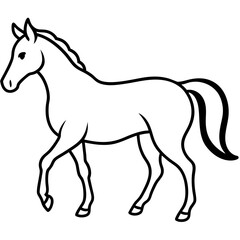 Horse isolated on white, horse vector illustration, animal vector art, horse silhouette, pet vector icon, horses cartoon line art, eps