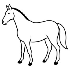 Horse isolated on white, horse vector illustration, animal vector art, horse silhouette, pet vector icon, horses cartoon line art, eps