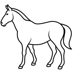 Horse isolated on white, horse vector illustration, animal vector art, horse silhouette, pet vector icon, horses cartoon line art, eps