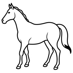 Horse isolated on white, horse vector illustration, animal vector art, horse silhouette, pet vector icon, horses cartoon line art, eps