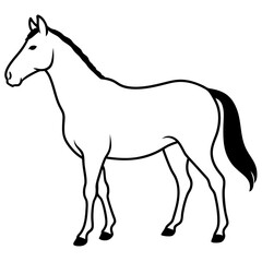 Horse isolated on white, horse vector illustration, animal vector art, horse silhouette, pet vector icon, horses cartoon line art, eps