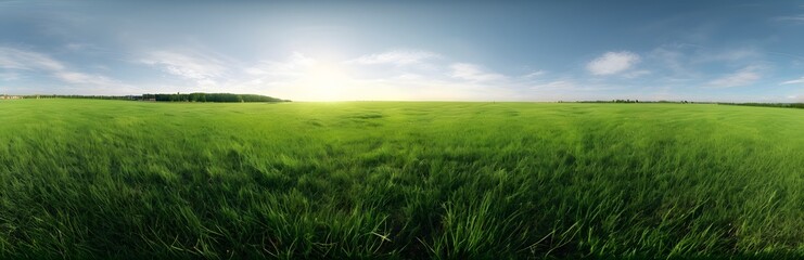 Obraz premium 360 degree large green grass field. HDRI spherical panorama.