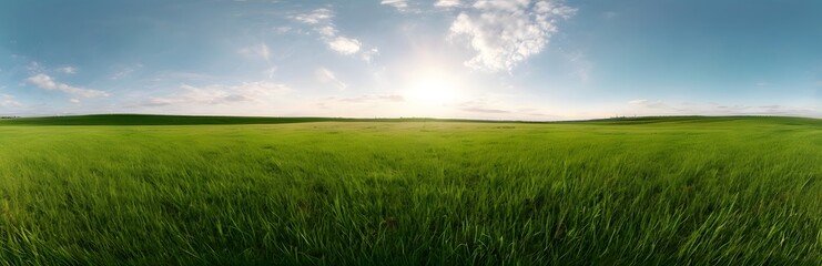 Obraz premium 360 degree large green grass field. HDRI spherical panorama.