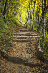 Obraz premium Appalachian Trail in the Fall