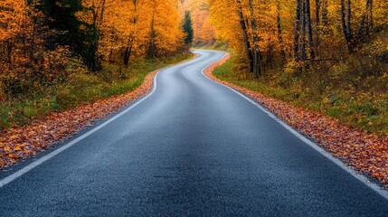 Obraz premium A winding road through vibrant autumn foliage, showcasing the beauty of nature in fall.