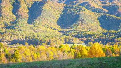 autumn in the Smokies