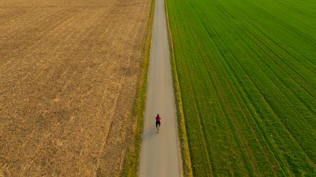 Woman cyclist cycling on asphalt road separating two fields of green and yellow color air view. Bicycle ride through farm fields in spring drone view. Two-colored agricultural field split by road. 