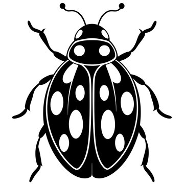 black and white ladybug insect clip art preview