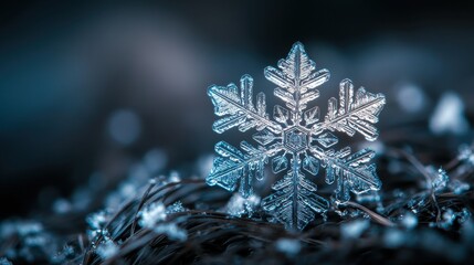 Close-Up of a Detailed Snowflake on Frosty Ground with Blurred Background in Winter