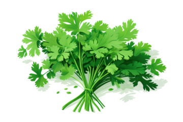 Fresh green parsley rendered in a retro and colorful style.