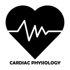 cardiac physiology Solid icon