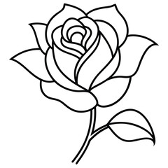 Obraz premium Elegant Black Line Art Rose Sketches vector artwork
