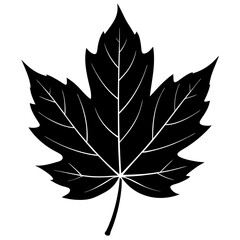 leaf isolated on white, leaf vector illustration, autumn vector art, leaf silhouette, thanksgiving vector icon, autumns cartoon line art, eps