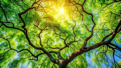 Lush tree branches swaying in rhythm, embodying the harmony between nature and artistry, melodious, dance, branches