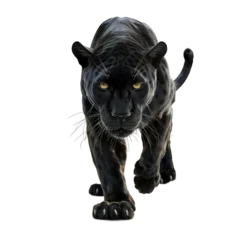 Verduisterende gordijnen A black panther is walking on a white background © Irfan Mulyana