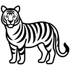 Fototapeta premium Tiger isolated on white, Tiger vector illustration, animal vector art, Tiger silhouette, pet vector icon, lion cartoon line art, eps