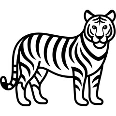 Tiger isolated on white,  Tiger vector illustration,  animal vector art,  Tiger silhouette,  pet vector icon,  lion cartoon line art, eps