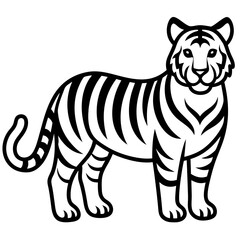 Tiger isolated on white,  Tiger vector illustration,  animal vector art,  Tiger silhouette,  pet vector icon,  lion cartoon line art, eps